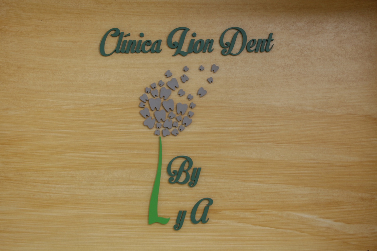 Identidad de Clínica Lion Dent en sus instalaciones